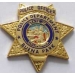 BUENA PARK, CA POLICE DEPARTMENT BADGE PIN